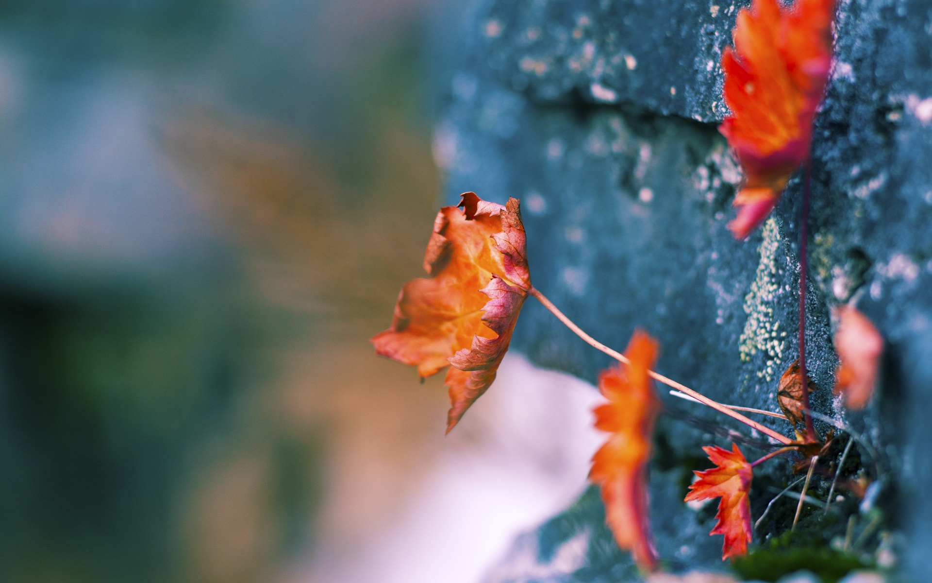 双重奏，萨卡的狂飙与卡塔尔的战术枷锁—解析一场胜利的两个维度