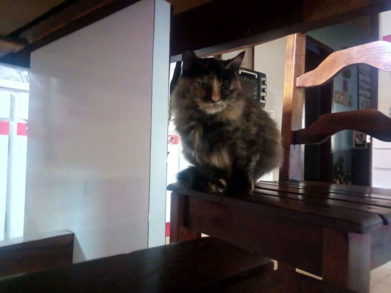 硬汉的赞歌,苏格兰风雪夜鏖战莱比锡,维尼修斯一锤定音封关键先生