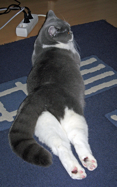 开云体育登录-逆转的火焰，从英超争冠焦点战到浙江队惊天逆转快船的体育史诗