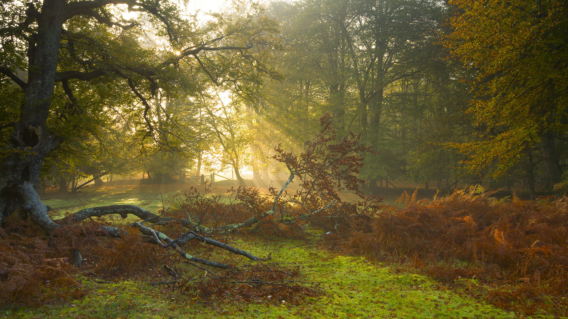 开云体育APP下载-切特的救赎，英超冠军之夜的英雄