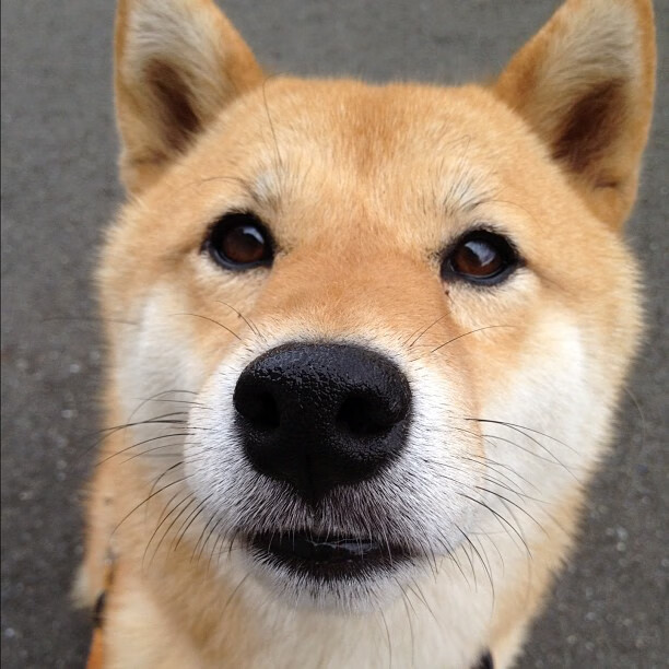 奥运周期关键战之夜，哈登大场面先生的唯一性证明