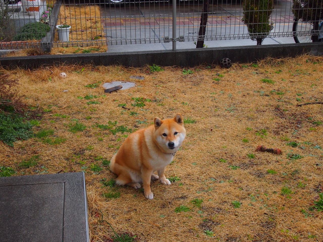 开云体育入口-伦纳德身披雷霆球衣现身湖人主场，为何他仍是洛杉矶的意外焦点？