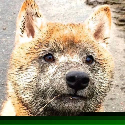 开云体育官网-永恒之城与高地，一场被重新定义的边界