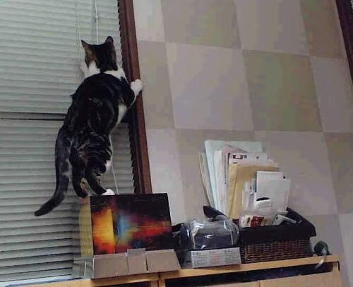 欧冠半决赛，巴黎火山熔岩，如何烧穿对手的冰封防线