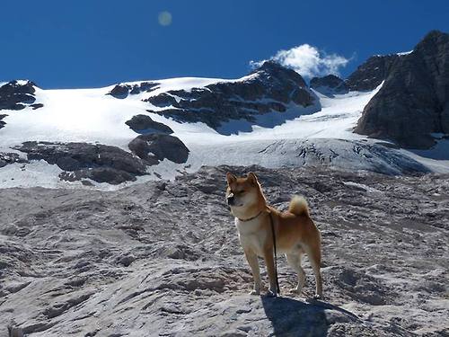 开云体育-双线奏鸣曲，当葡萄牙的战术风暴遭遇莫德里奇的决胜艺术