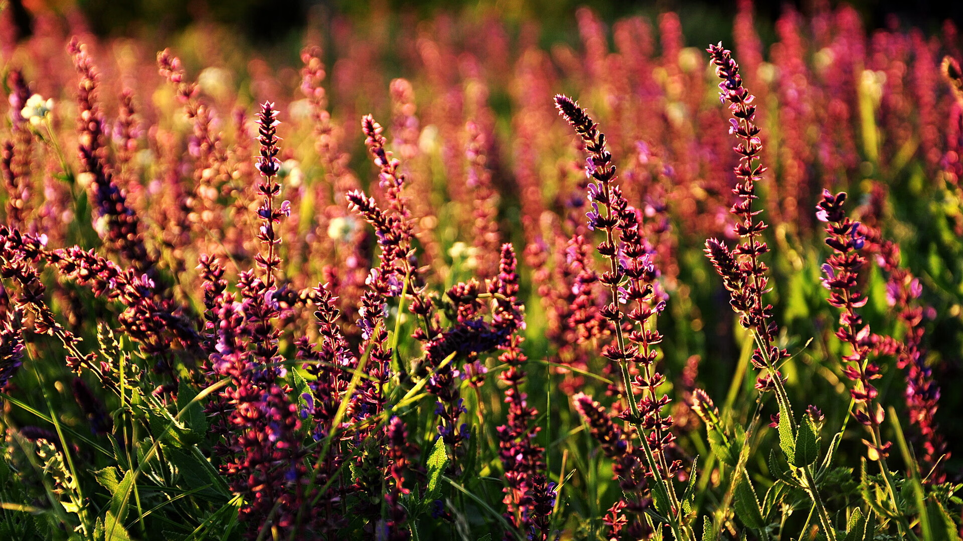 王朝陷落的十分钟,乔治三分终结马刺时代