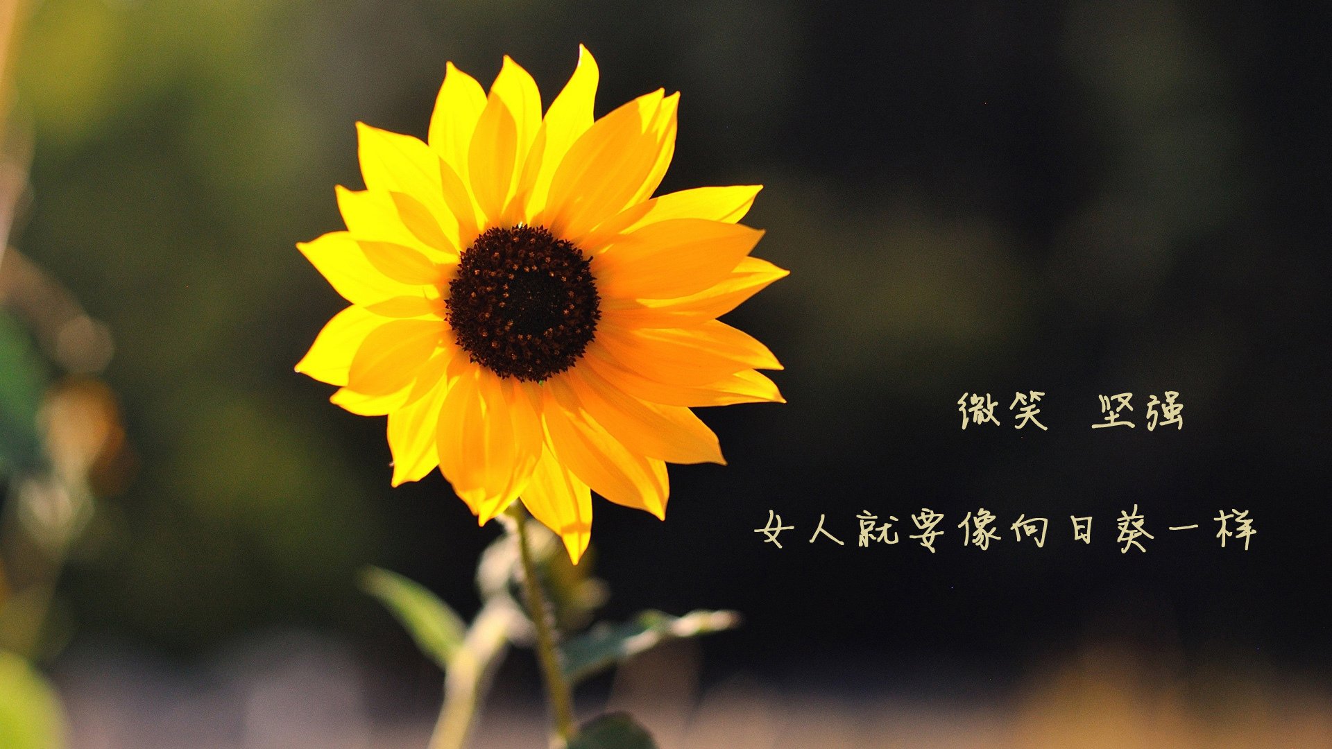 开云体育中国-最后十五分钟的战争—当巴拉圭在末节带走中国