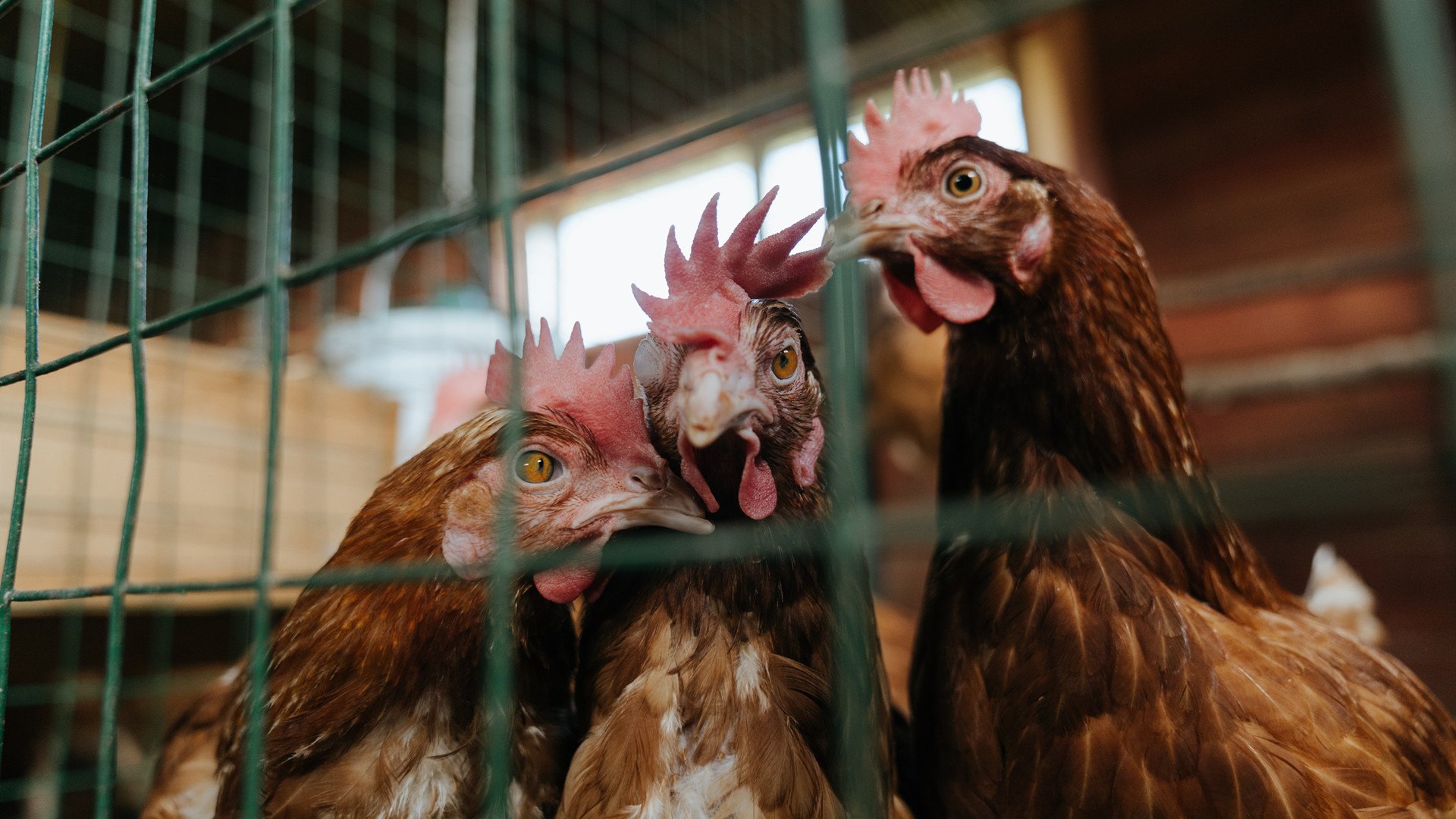 看到您希望围绕这场独特的比赛写一篇具有唯一性的文章,我为您构思了几个不同角度的标题,并选取了最具思辨性的一个完成了全文