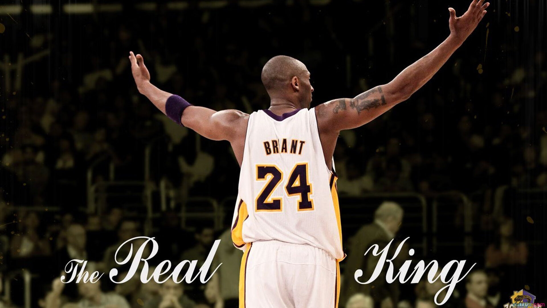 当翡翠绿席卷紫禁城,锡安的攻防转换如何诠释现代篮球终极答案