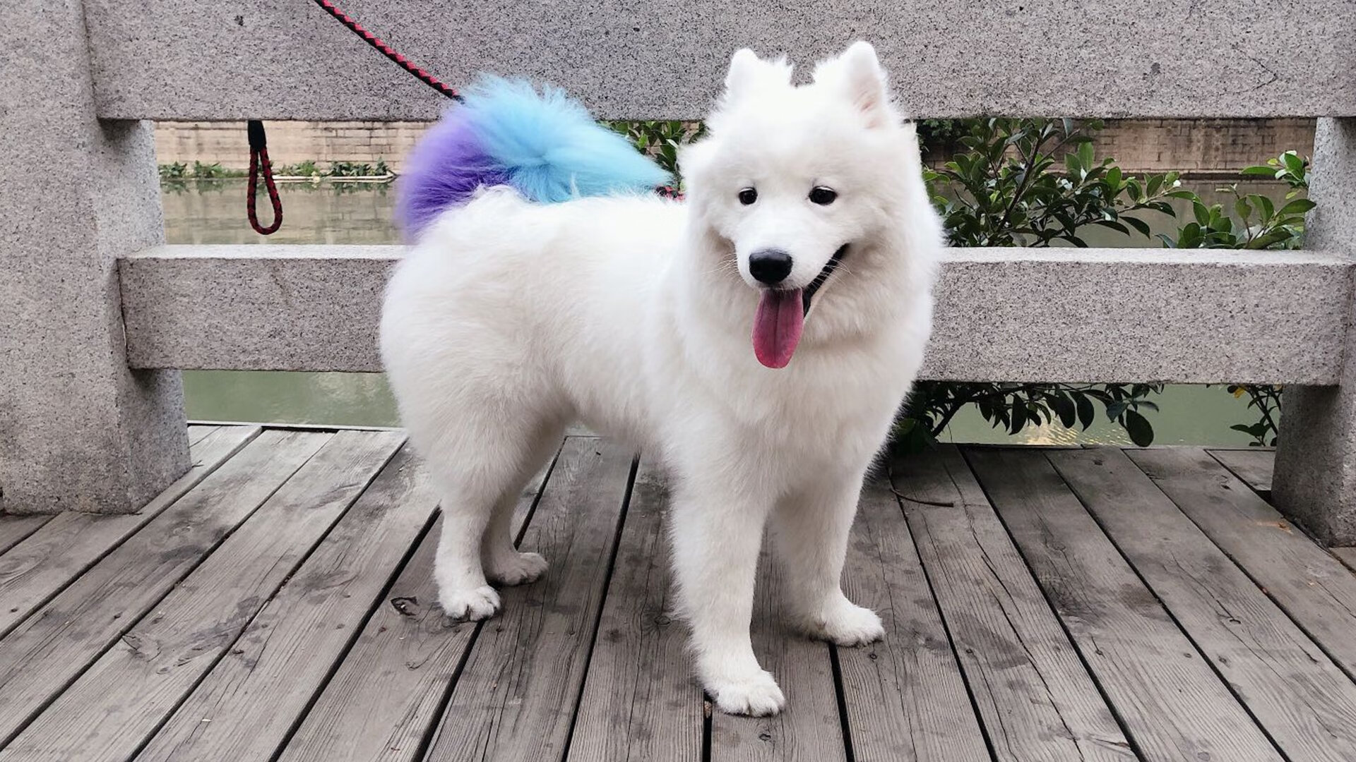 手术刀之夜，德布劳内用一记传球完成的精密计算