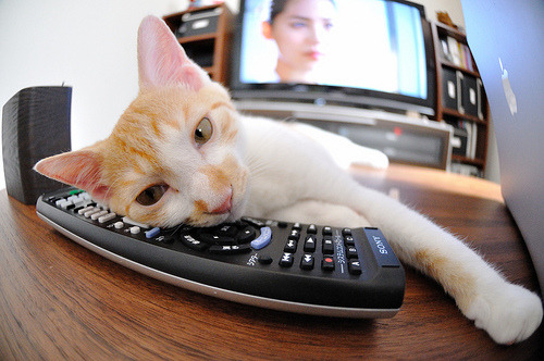 剑锋所指,通往伟大,塔图姆的抢七杀戮之夜