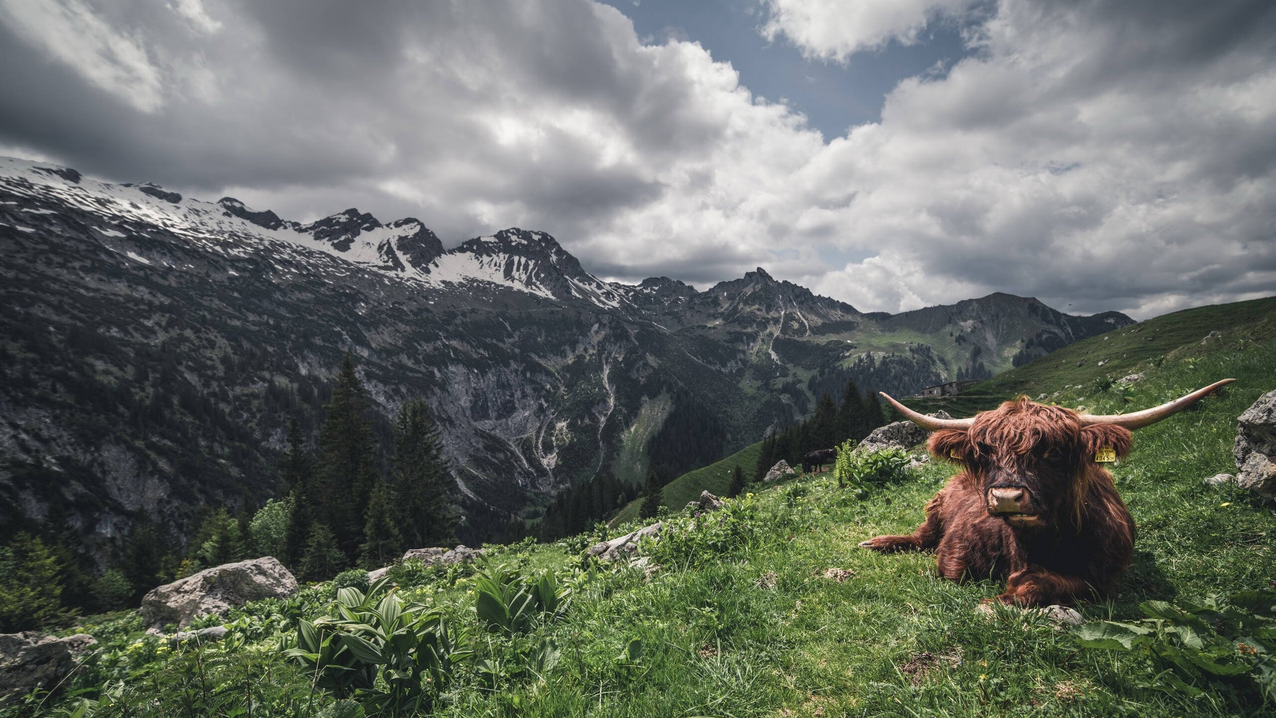 开云体育中国-西决生死战之夜，格纳布里在另一个赛场扛起全队