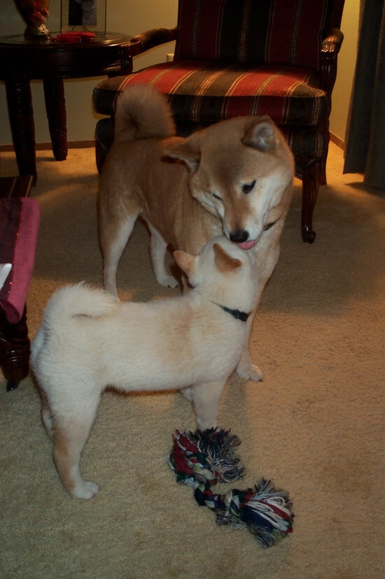 开云体育APP下载-年度争冠之夜，他不是主角却抢尽所有风头