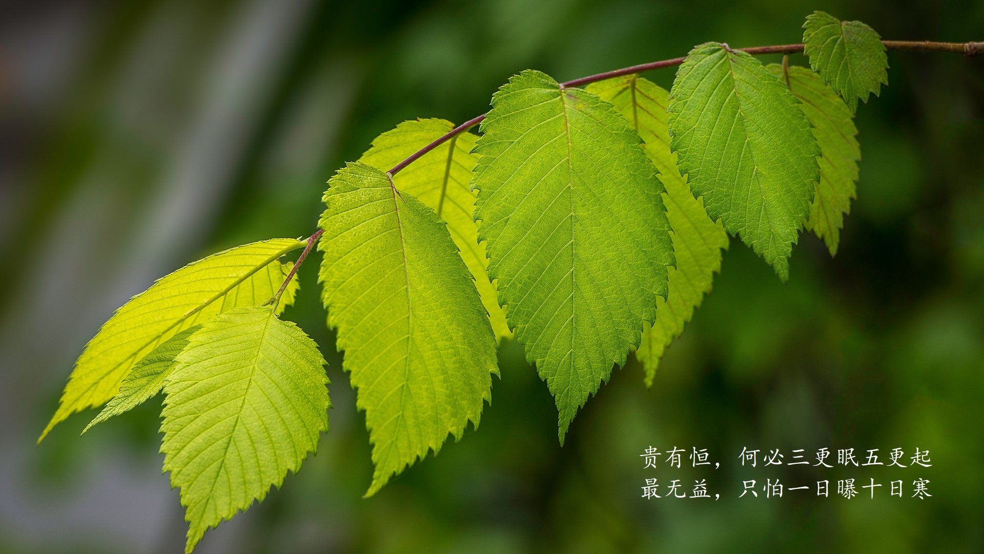 开云体育APP下载-唯一的指令，2026世界杯G组，阿诺德与那场改写命运的挪威之战