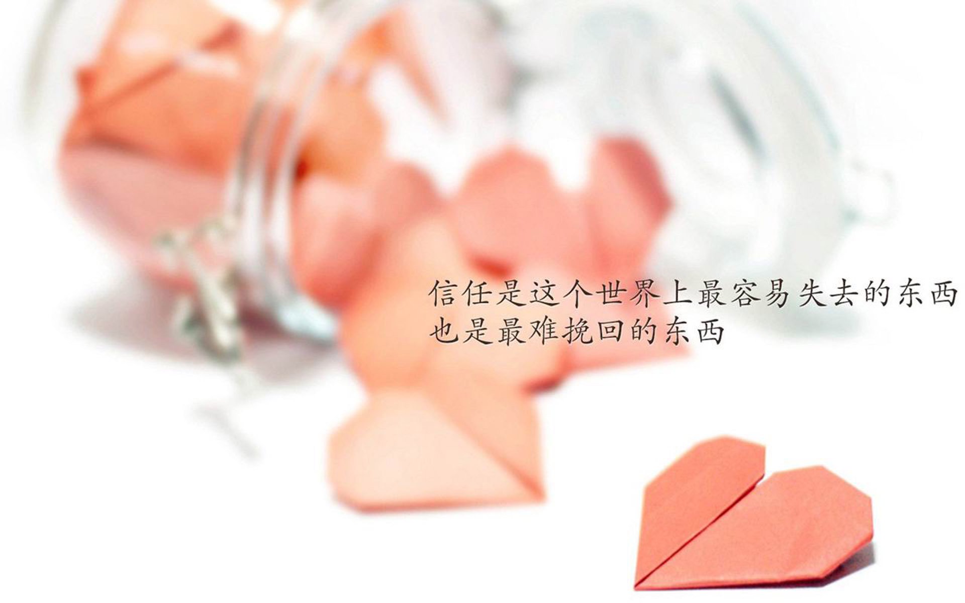 开云sport-2026世界杯C组焦点战，智利横扫越南，三笘薰独木难支