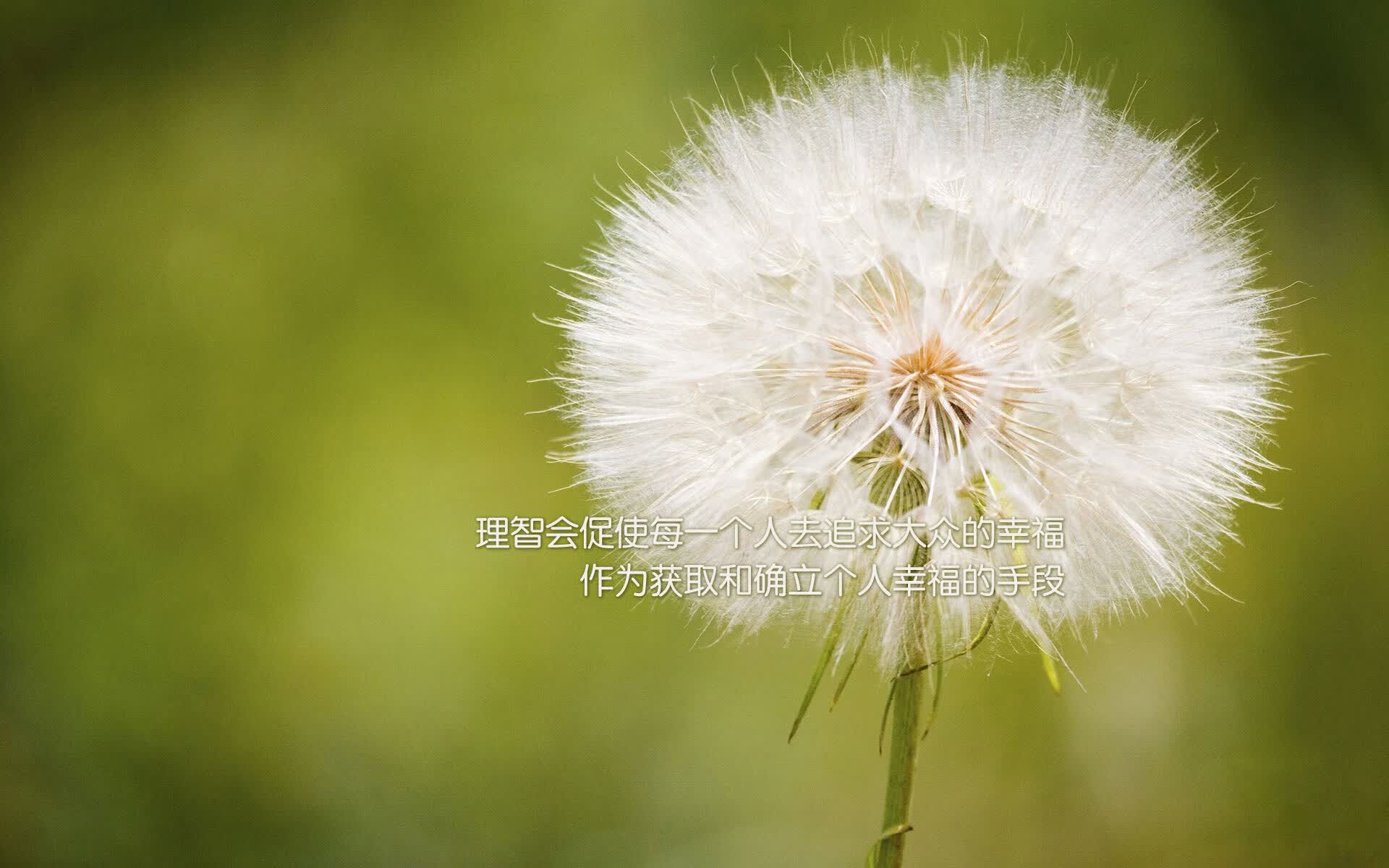灰色童话,当加维在2026年之巅,亲手撕裂命运的剧本