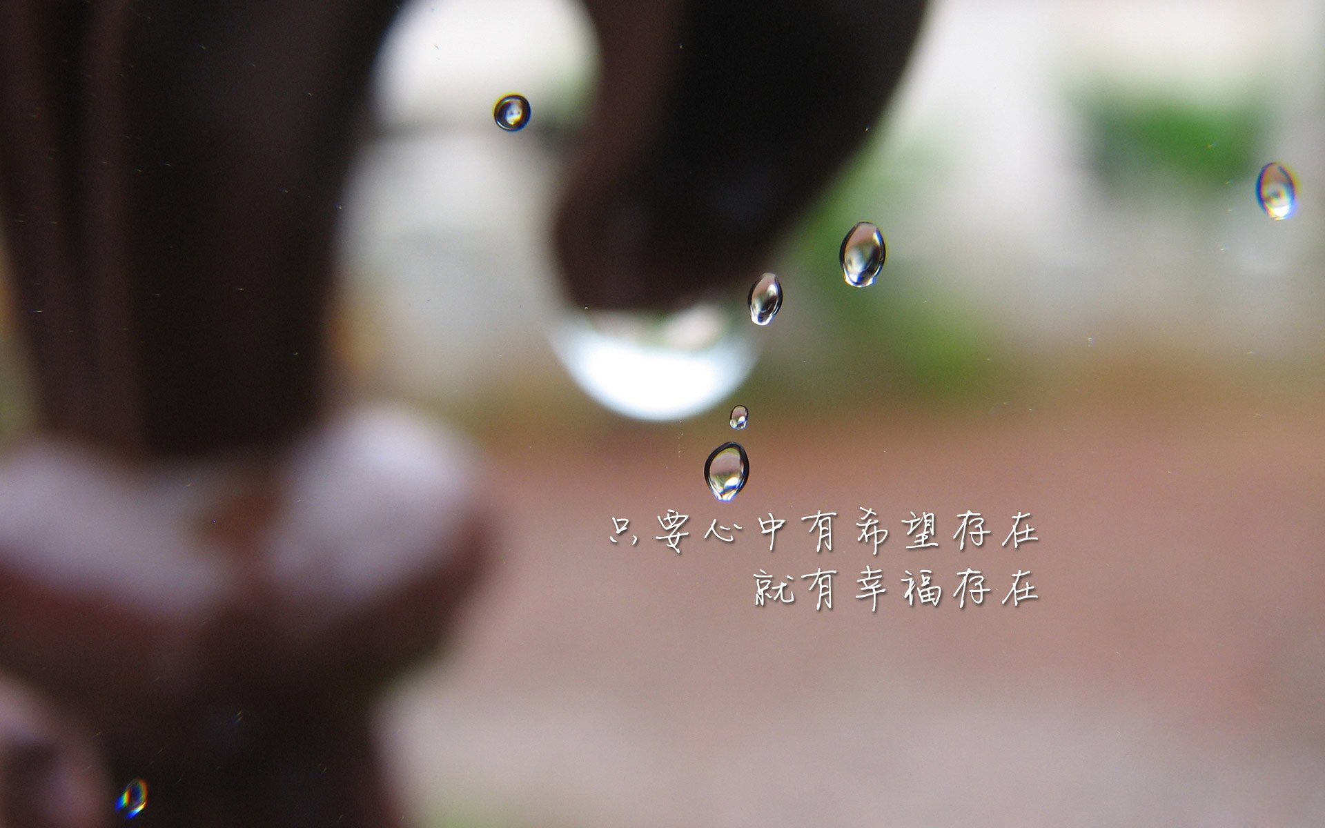 颠覆与撕裂,当袋鼠军团咬碎秘鲁防线,哈基米在另一个维度独舞