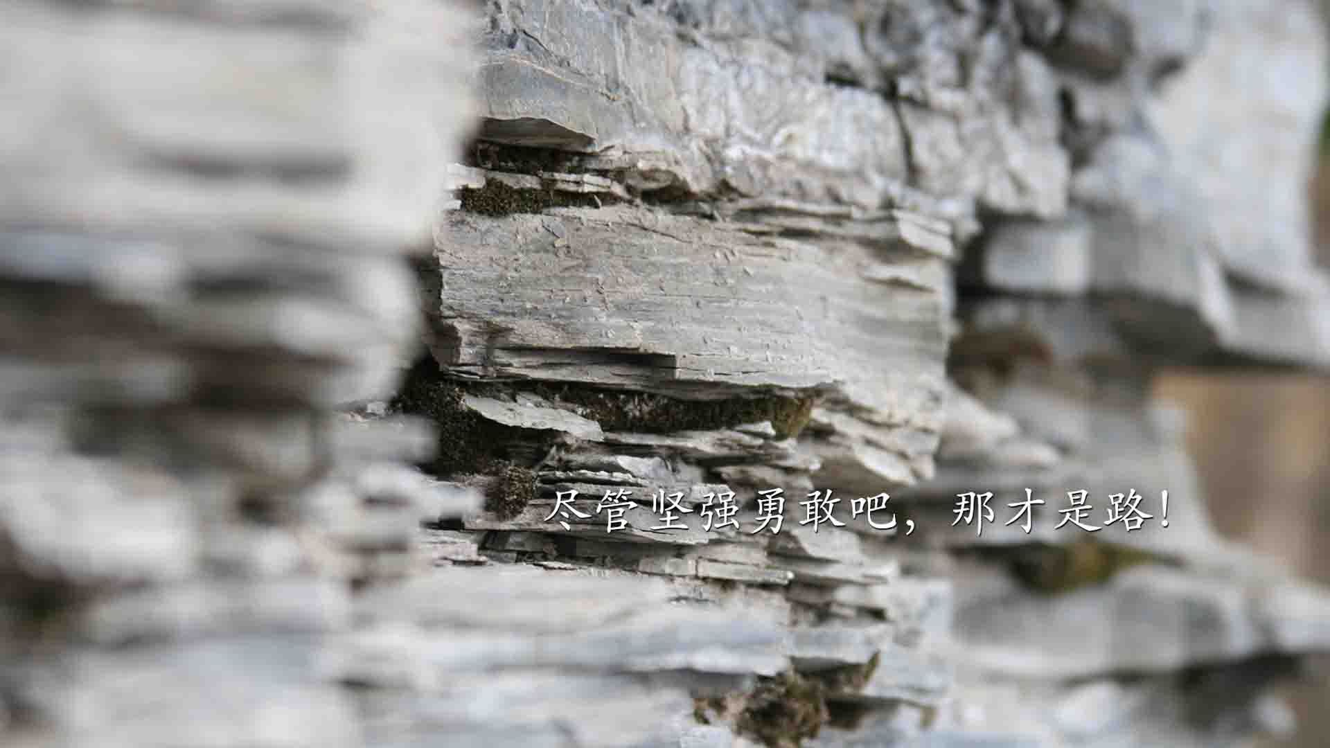 当碾压成为错觉，2026世界杯最诡异的巅峰对决，奥地利狂轰53脚，孙兴慜一剑封喉