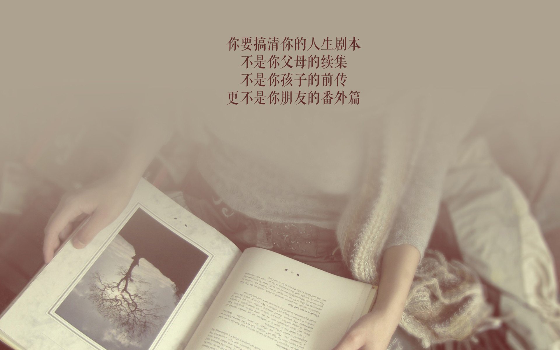 2026世界杯G组,破晓之刃与未竟的独奏—当巴雷拉用汗血淬炼德国战车的重生