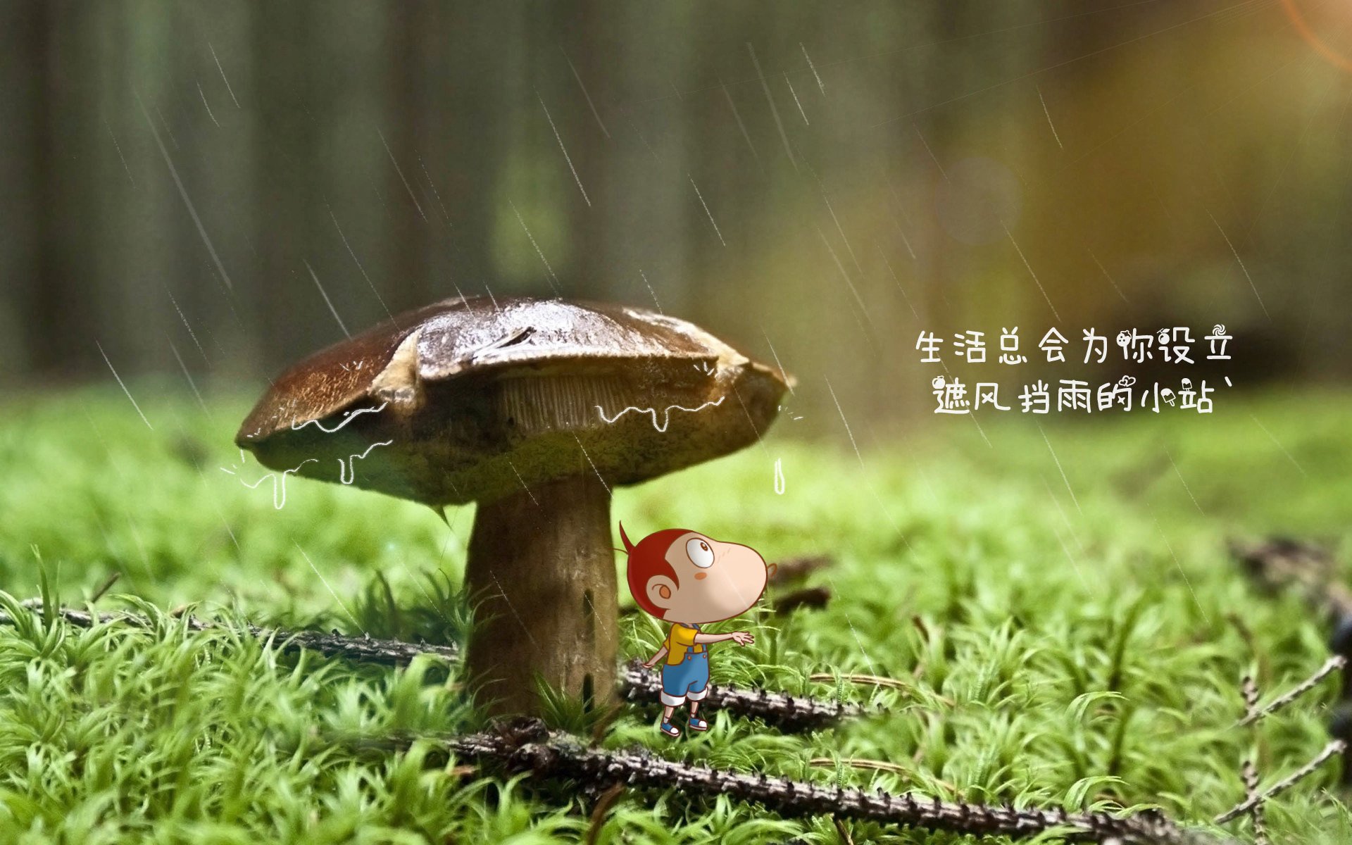 开云体育登录-当北欧海盗碾过仙人掌军团，卢卡库如何将A组焦点战变成一场个人主义的狂欢与墨西哥的百年孤寂